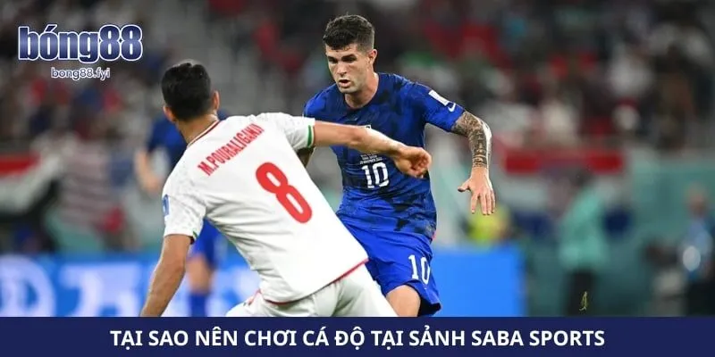 Tại sao nên chơi cá độ tại sảnh saba sports